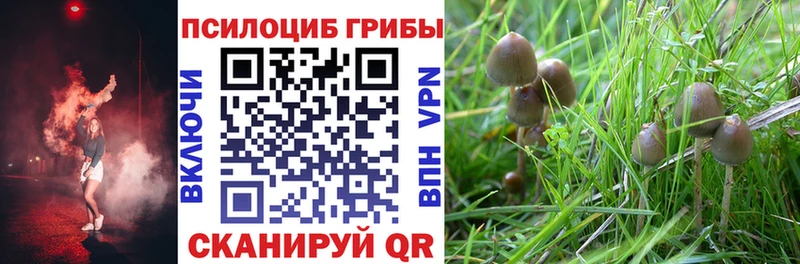 как найти наркотики  Островной  Галлюциногенные грибы мухоморы 